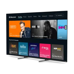 Vizio
