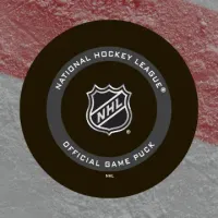 National Hockey League Official Game Puck