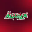 Águila